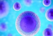 电磁炉烧itp原因分析（探究电磁炉烧itp的因素及预防措施）