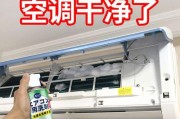 解析空调异味的成因及处理方法（彻底除去空调异味）