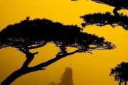 手持酷炫镜头如何用于手机拍照？