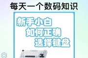 高性能笔记本电脑应配哪种键盘？键盘选择建议是什么？