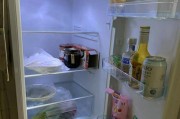 冰箱异味的处理方法（轻松除去冰箱异味的小妙招）