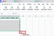 wps表格下拉数字无法递增怎么办？如何解决下拉数字不变的问题？