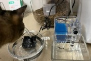 自制鱼缸饮水机——简单方便的水源解决方案（快速搭建自己的鱼缸饮水机）