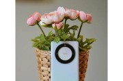 荣耀x49背膜更换容易吗？更换过程中应注意什么？