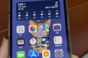 iPhone13Pro设置新密码的流程（一步步教您如何为iPhone13Pro设置新密码）