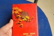 红色笔记本丢失后应该怎么办？