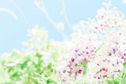电脑桌面缩小怎么办（解决电脑桌面缩小问题的简易方法）