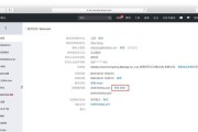 如何正确解析中文国际域名？解析过程中常见问题有哪些？