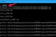 彻底清理C盘无用垃圾，提升电脑性能（详解清理C盘无用垃圾的步骤和技巧，让电脑更加快速流畅）