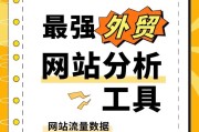 如何利用网站流量分析？提升网站性能有哪些方法？