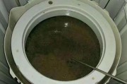 以史密斯洗衣机桶清洗方法（学会正确清洁洗衣机）
