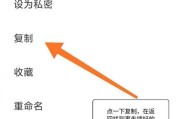苹果手机文件如何转存到U盘？操作步骤是怎样的？