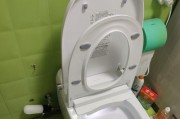 马桶一直流水怎么办（修理马桶持续流水的方法与技巧）