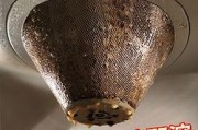如何高效清洗吸油烟机油垢（轻松去除吸油烟机上顽固的油垢）