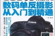 手机拍照技巧从入门到精通？如何拍出专业级照片？
