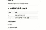 面试必备（轻松掌握Linux命令行）