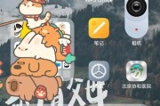 小米12x内存容量查看方法是什么？