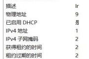 掌握更改IP命令技巧的关键方法（学习如何有效地更改IP地址以保护网络安全和隐私）