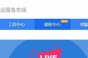 网站推广方法大揭秘（掌握关键）