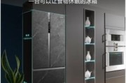 如何正确清洗头等舱冰箱（头等舱冰箱清洗方法及注意事项）