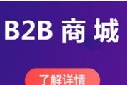 B2B推广软件（通过自动化营销增强企业竞争力）