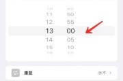 苹果手机设置付款提醒方法？如何开启苹果手机的付款提醒功能？