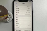 如何选择适合自己的iPhone（以性能和价格为核心，解析iPhone美版和国行的优缺点）