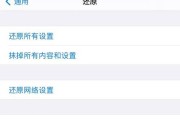 如何清理iPhone储存空间（有效管理和释放iPhone内存空间，提高设备性能）