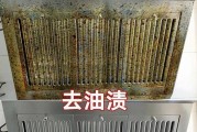 清洗油烟机电机的有效方法（保持油烟机电机的运行）