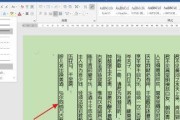 WPS文字竖排怎么做？详细步骤与常见问题解答？