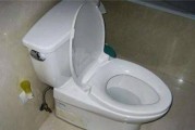 如何修理一直流水的法恩莎马桶（解决法恩莎马桶持续流水问题的有效方法）