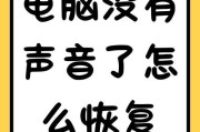 电脑播放音乐无声音是什么原因？如何快速解决？