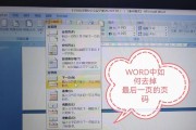 在WPS和Word中如何设置页码？