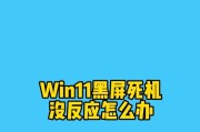 电脑频繁黑屏怎么办？有哪些预防措施？