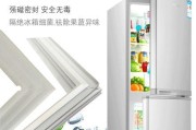 如何清洗冰箱门封条（简单有效的清洁方法）