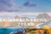 电视机黑屏没声音的原因及解决方法（解决电视机黑屏无声的小妙招）