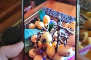 手机摔后如何继续拍照？照片质量受影响吗？