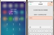 应用软件加密方法的研究与应用（提升应用软件安全性的关键举措）
