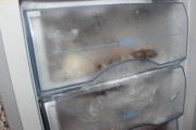 冰箱保鲜区漏水的处理方法（快速解决冰箱保鲜区漏水问题）