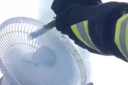 饮水机放出虫子的原因（揭秘饮水机内虫害的成因及解决办法）