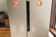 美菱冰箱漏电原因分析与解决方法（保障家庭安全）