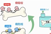净水器使用对骨质疏松的影响（如何防止净水器导致骨质疏松）