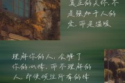 如何找到真正懂你的电脑？常见问题有哪些？