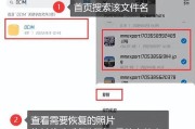cerber3文件恢复是否可行？