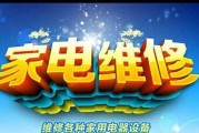 解决飞羽热水器日常故障的有效方法（维修飞羽热水器的实用技巧）