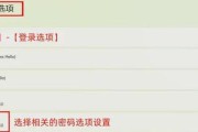 苹果笔记本电脑上网设置方法是什么？需要哪些步骤？