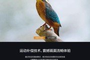灰衣服与投影仪颜色搭配技巧是什么？