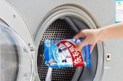 如何简单清洗消毒洗衣机（掌握这个关键技巧）