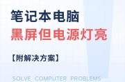 电脑显示器灯亮黑屏故障如何解决？