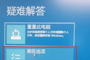 投影仪出现蓝屏问题的解决方法（轻松应对投影仪蓝屏现象）